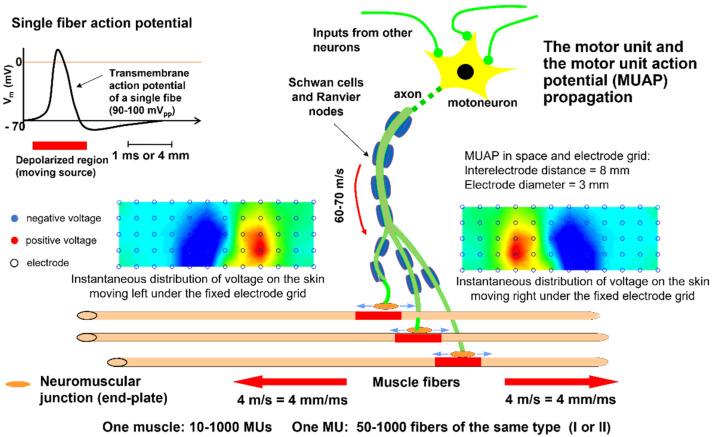https://cdn.ncbi.nlm.nih.gov/pmc/blobs/2b74/9185290/7d9573ade50e/sensors-22-04150-g002.jpg