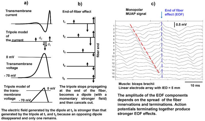 https://cdn.ncbi.nlm.nih.gov/pmc/blobs/2b74/9185290/90c322891f7f/sensors-22-04150-g010.jpg