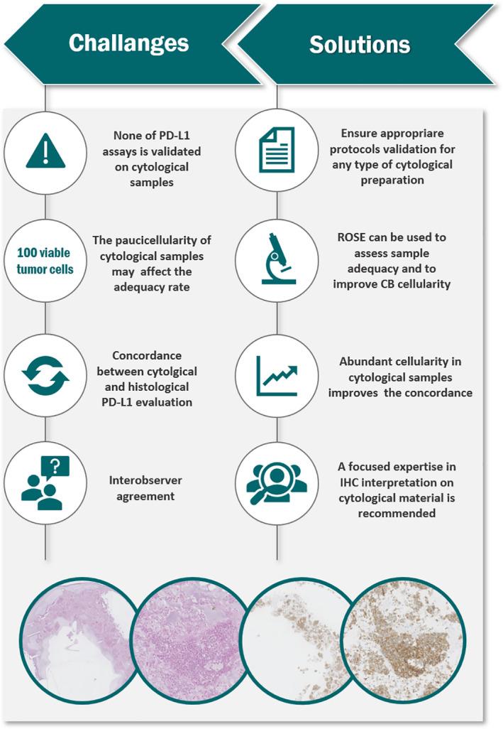 https://cdn.ncbi.nlm.nih.gov/pmc/blobs/2b75/8453493/a1c0d22f9d67/CYT-32-596-g002.jpg