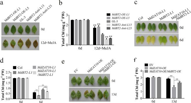 https://cdn.ncbi.nlm.nih.gov/pmc/blobs/2b76/8245655/e735232e7a65/41438_2021_593_Fig7_HTML.jpg