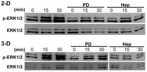 https://cdn.ncbi.nlm.nih.gov/pmc/blobs/2b77/2922372/1d15b8e8ae1a/pone.0012196.g007.jpg