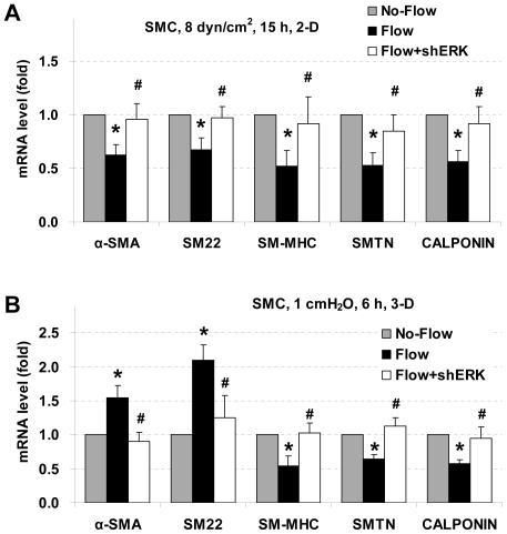 https://cdn.ncbi.nlm.nih.gov/pmc/blobs/2b77/2922372/66b478b180fd/pone.0012196.g005.jpg