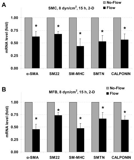 https://cdn.ncbi.nlm.nih.gov/pmc/blobs/2b77/2922372/edb855024d4c/pone.0012196.g001.jpg