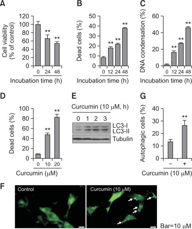 https://cdn.ncbi.nlm.nih.gov/pmc/blobs/2b77/6720530/22e10073327f/bt-27-484f1.jpg