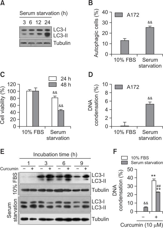 https://cdn.ncbi.nlm.nih.gov/pmc/blobs/2b77/6720530/3b48cdf56c5a/bt-27-484f5.jpg