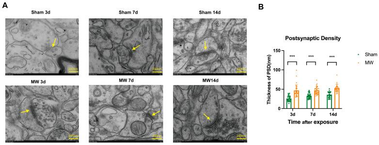 https://cdn.ncbi.nlm.nih.gov/pmc/blobs/2b79/11278544/30c0d0eb9452/metabolites-14-00354-g001.jpg