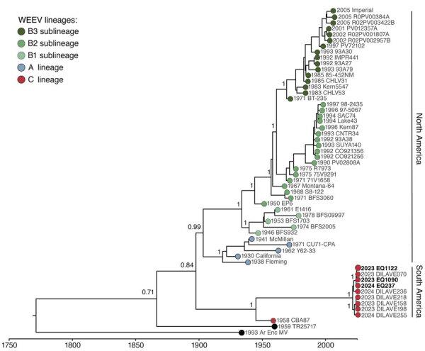https://cdn.ncbi.nlm.nih.gov/pmc/blobs/2b79/11346983/c14b9c37059a/24-0530-F2.jpg