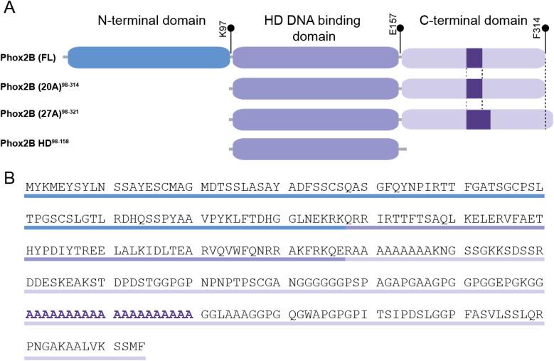 https://cdn.ncbi.nlm.nih.gov/pmc/blobs/2b7a/11168103/05bfbd893d7b/d3sc06427a-f1.jpg