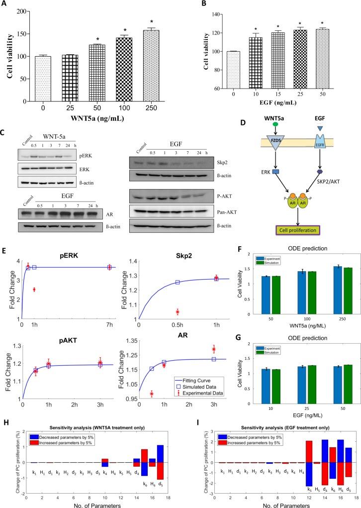 https://cdn.ncbi.nlm.nih.gov/pmc/blobs/2b7a/6754164/a1bbbf0199ed/pcbi.1007344.g005.jpg