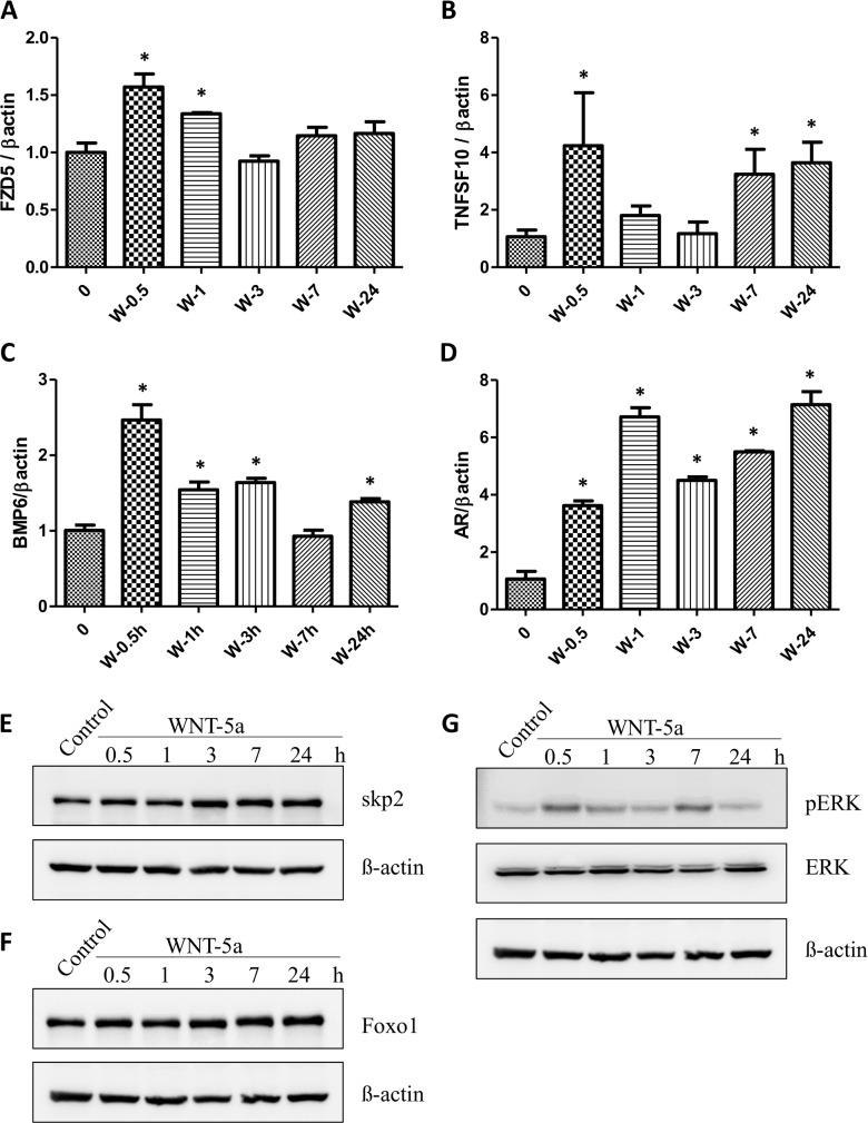 https://cdn.ncbi.nlm.nih.gov/pmc/blobs/2b7a/6754164/de1c18bd4425/pcbi.1007344.g001.jpg