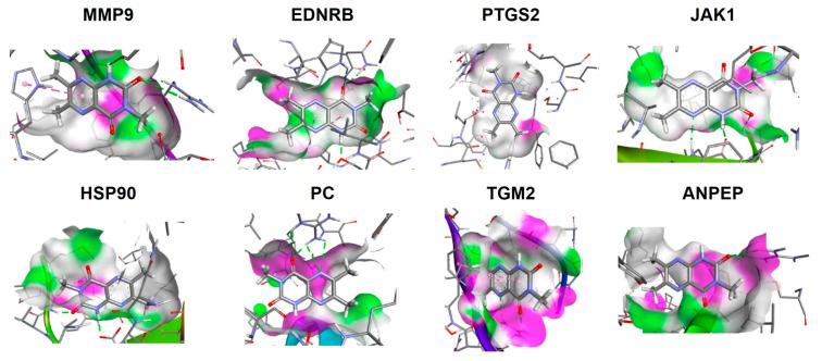 https://cdn.ncbi.nlm.nih.gov/pmc/blobs/2b7b/10670905/d7471f9dacfa/foods-12-04072-g0A1.jpg