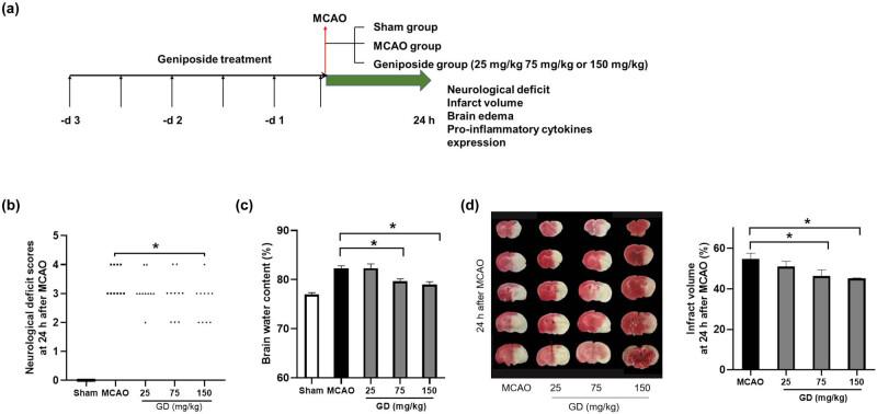 https://cdn.ncbi.nlm.nih.gov/pmc/blobs/2b7f/10276575/0a931da1e8c3/j_tnsci-2022-0273-fig001.jpg