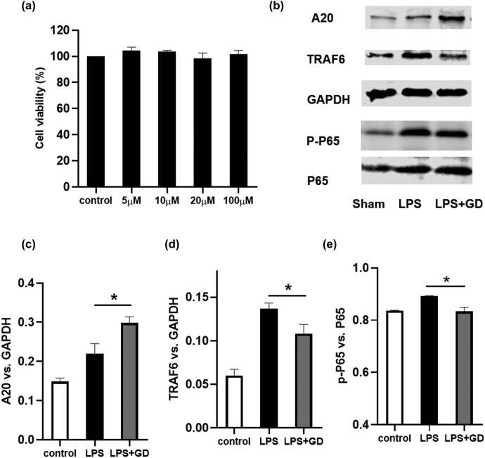 https://cdn.ncbi.nlm.nih.gov/pmc/blobs/2b7f/10276575/123a8e7511bd/j_tnsci-2022-0273-fig006.jpg