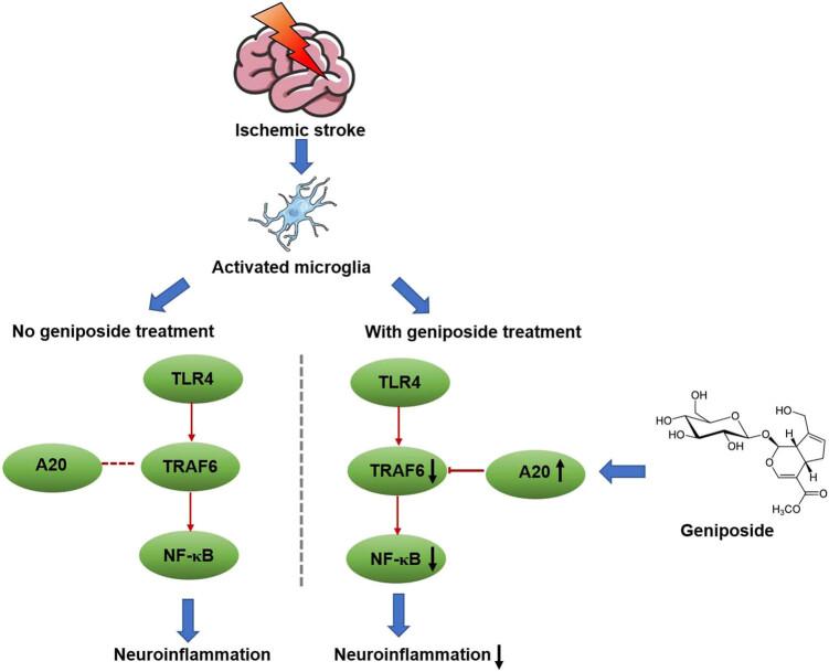 https://cdn.ncbi.nlm.nih.gov/pmc/blobs/2b7f/10276575/14c00a7f4309/j_tnsci-2022-0273-fig007.jpg