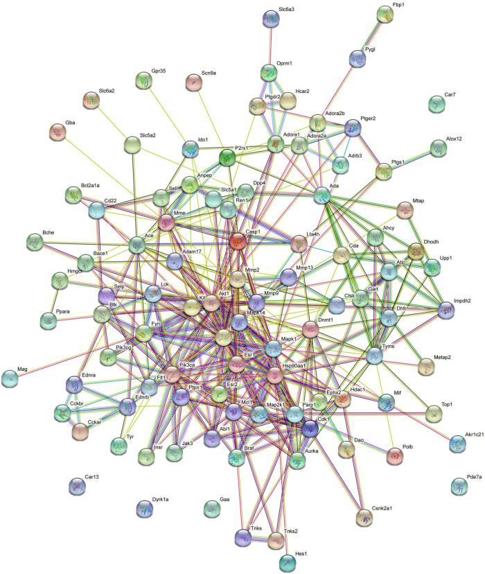 https://cdn.ncbi.nlm.nih.gov/pmc/blobs/2b7f/10276575/59a986768a23/j_tnsci-2022-0273-fig002.jpg