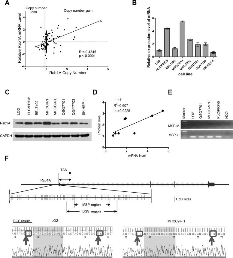 https://cdn.ncbi.nlm.nih.gov/pmc/blobs/2b7f/4673231/8467977b4a90/oncotarget-06-20813-g001.jpg