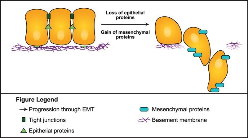 https://cdn.ncbi.nlm.nih.gov/pmc/blobs/2b80/5599212/a692984904e0/medi-95-s20-g001.jpg