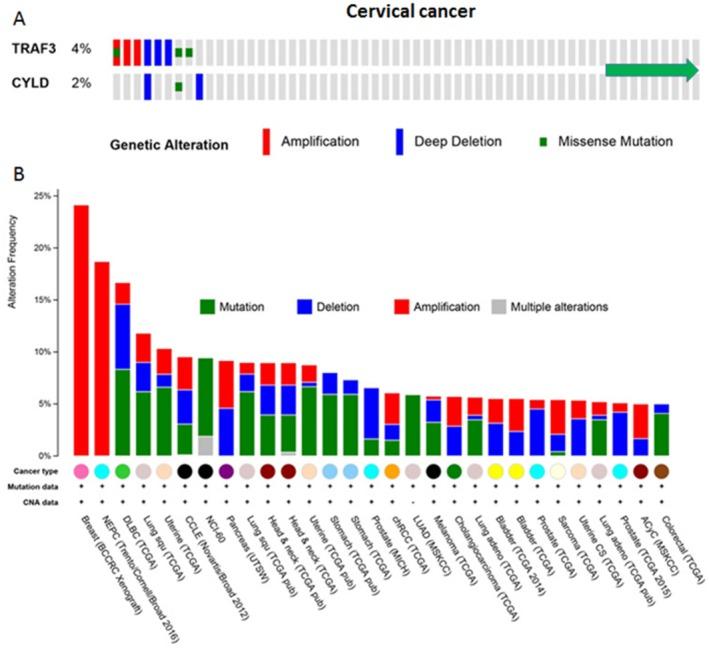 https://cdn.ncbi.nlm.nih.gov/pmc/blobs/2b83/5434911/21ee1bf55f49/CNCR-123-1778-g002.jpg