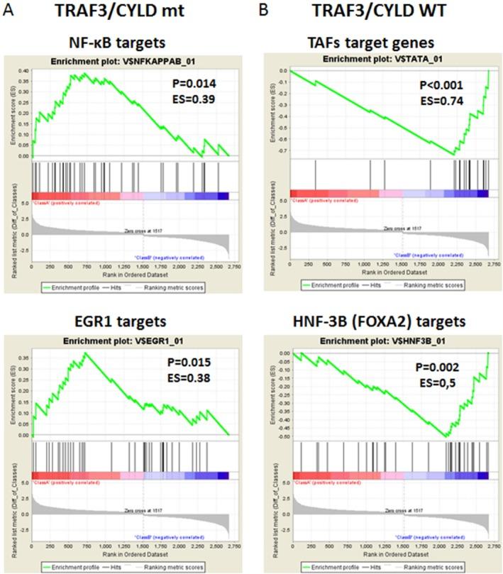 https://cdn.ncbi.nlm.nih.gov/pmc/blobs/2b83/5434911/2dd0ba6e00e8/CNCR-123-1778-g004.jpg
