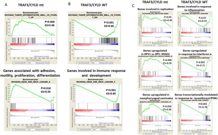 https://cdn.ncbi.nlm.nih.gov/pmc/blobs/2b83/5434911/52173f2daef1/CNCR-123-1778-g005.jpg