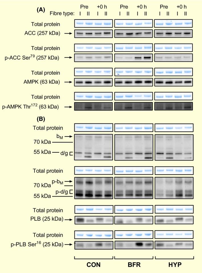 https://cdn.ncbi.nlm.nih.gov/pmc/blobs/2b84/5969286/c93a3332c68e/APHA-223-na-g007.jpg
