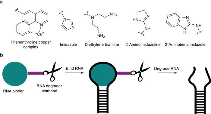 https://cdn.ncbi.nlm.nih.gov/pmc/blobs/2b85/11638902/58f404f2a064/cr4c00472_0012.jpg
