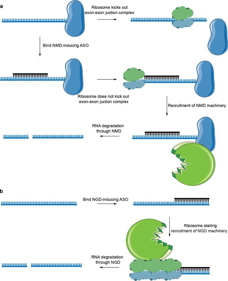 https://cdn.ncbi.nlm.nih.gov/pmc/blobs/2b85/11638902/7e917f9ab253/cr4c00472_0006.jpg