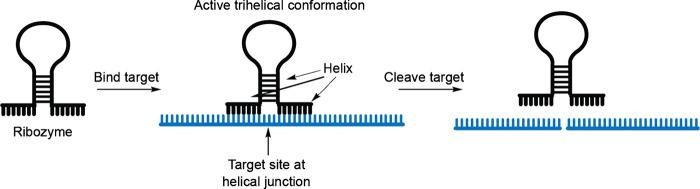 https://cdn.ncbi.nlm.nih.gov/pmc/blobs/2b85/11638902/dbc76c846890/cr4c00472_0009.jpg