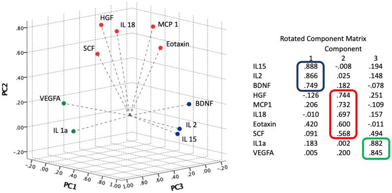 https://cdn.ncbi.nlm.nih.gov/pmc/blobs/2b85/9551198/b3848428d2f4/fimmu-13-946730-g001.jpg
