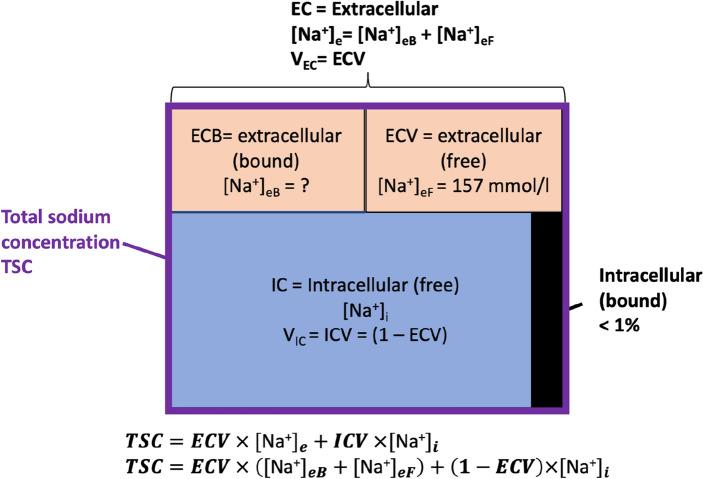 https://cdn.ncbi.nlm.nih.gov/pmc/blobs/2b86/10825176/679cc859a93a/41598_2024_52377_Fig1_HTML.jpg