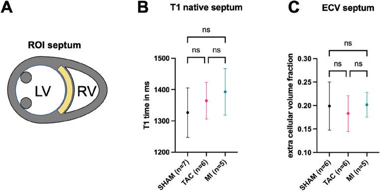 https://cdn.ncbi.nlm.nih.gov/pmc/blobs/2b86/10825176/8d2195958ae1/41598_2024_52377_Fig3_HTML.jpg