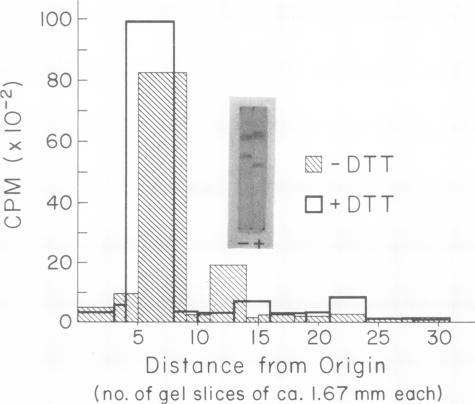 https://cdn.ncbi.nlm.nih.gov/pmc/blobs/2b8b/419315/fe7d226c3844/iai00276-0044-a.jpg