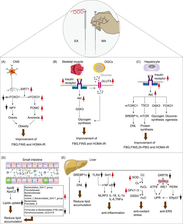 https://cdn.ncbi.nlm.nih.gov/pmc/blobs/2b8c/11520709/f785109e4962/IJGM-17-4917-g0001.jpg