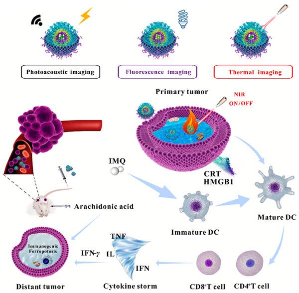 https://cdn.ncbi.nlm.nih.gov/pmc/blobs/2b8c/12086380/9451ba382b8b/MCO2-6-e70180-g002.jpg