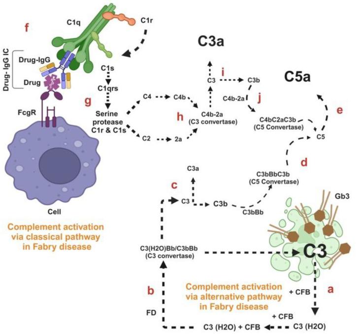 https://cdn.ncbi.nlm.nih.gov/pmc/blobs/2b8e/11594573/37279751e07d/ijms-25-12252-g002.jpg