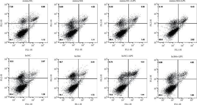 https://cdn.ncbi.nlm.nih.gov/pmc/blobs/2b8e/9017489/c07c3ab129be/ECAM2022-2408682.008.jpg