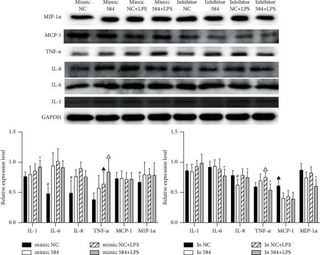 https://cdn.ncbi.nlm.nih.gov/pmc/blobs/2b8e/9017489/d99819e354cd/ECAM2022-2408682.003.jpg