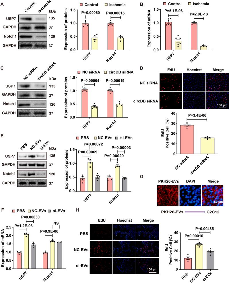 https://cdn.ncbi.nlm.nih.gov/pmc/blobs/2b8f/12391560/1157a87b79e5/gr5.jpg
