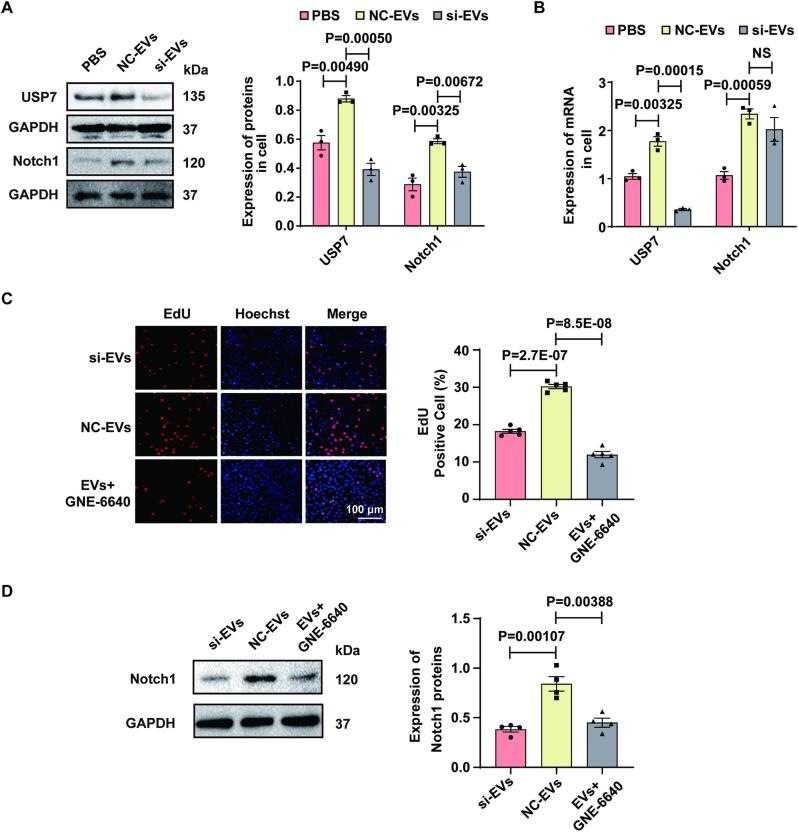 https://cdn.ncbi.nlm.nih.gov/pmc/blobs/2b8f/12391560/64705b891f74/gr6.jpg