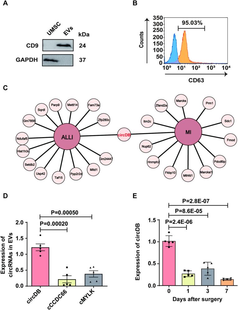 https://cdn.ncbi.nlm.nih.gov/pmc/blobs/2b8f/12391560/778d7b0a5d31/gr1.jpg