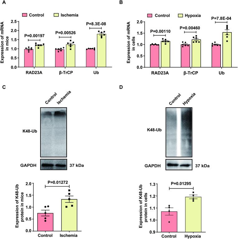 https://cdn.ncbi.nlm.nih.gov/pmc/blobs/2b8f/12391560/dae248513a90/gr2.jpg
