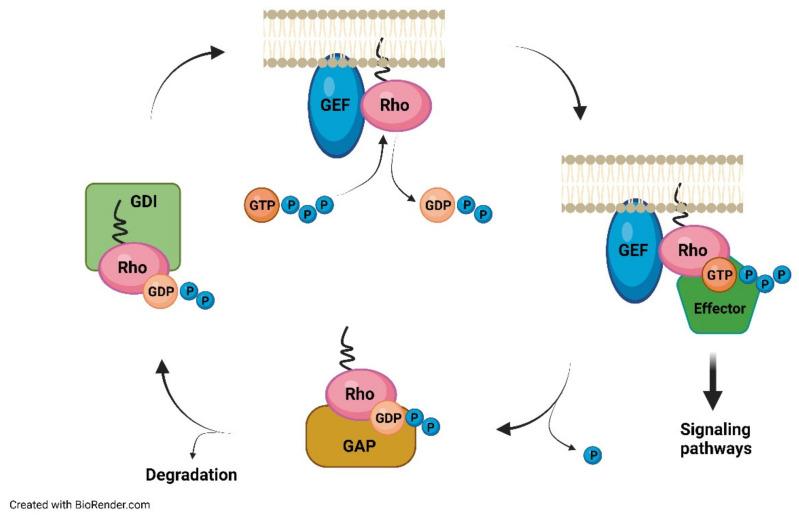 https://cdn.ncbi.nlm.nih.gov/pmc/blobs/2b92/9332440/cbbac24d2dac/ijerph-19-09061-g002.jpg
