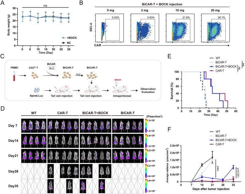 https://cdn.ncbi.nlm.nih.gov/pmc/blobs/2b95/11657976/2d8e1041591d/13045_2024_1648_Fig5_HTML.jpg