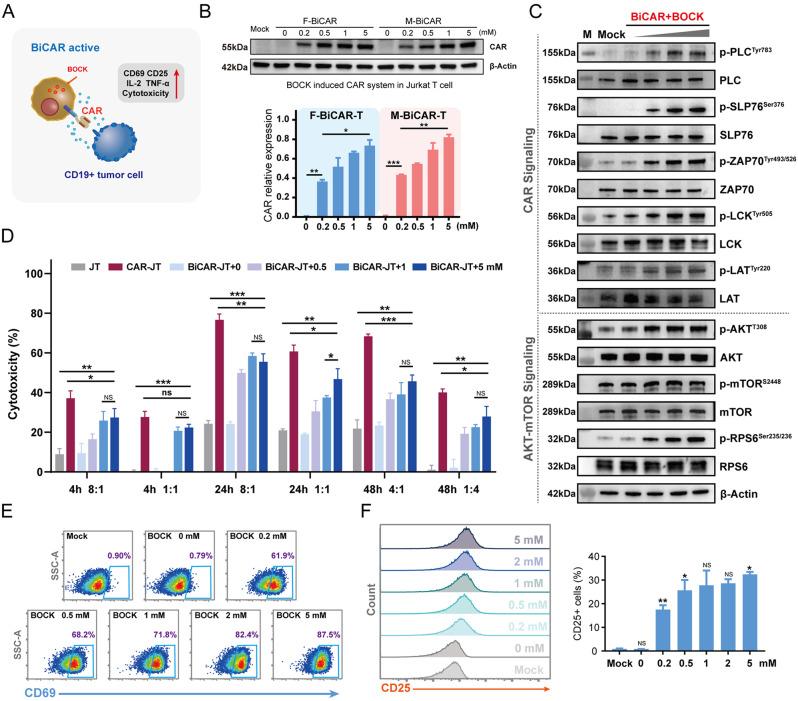 https://cdn.ncbi.nlm.nih.gov/pmc/blobs/2b95/11657976/53f096664706/13045_2024_1648_Fig2_HTML.jpg