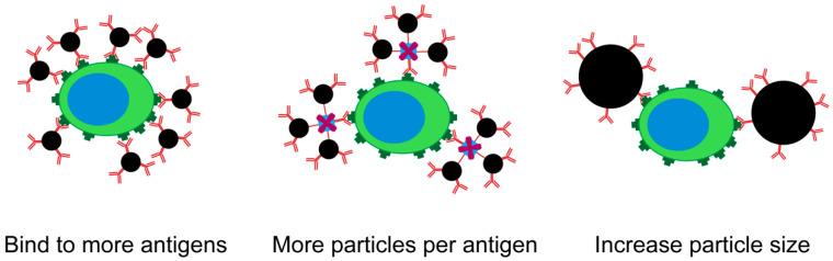 https://cdn.ncbi.nlm.nih.gov/pmc/blobs/2b99/7760229/723c270940d3/cancers-12-03525-g005.jpg