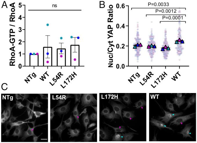 https://cdn.ncbi.nlm.nih.gov/pmc/blobs/2b99/9231619/02f06d78a174/pnas.2205536119fig04.jpg