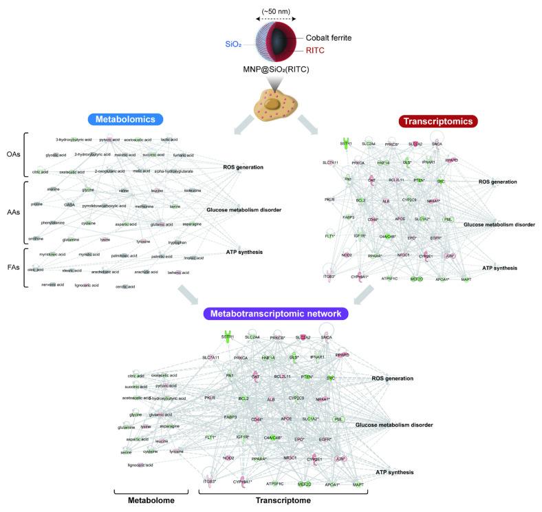 https://cdn.ncbi.nlm.nih.gov/pmc/blobs/2b9a/8470953/30038a714677/nanomaterials-11-02385-g001.jpg