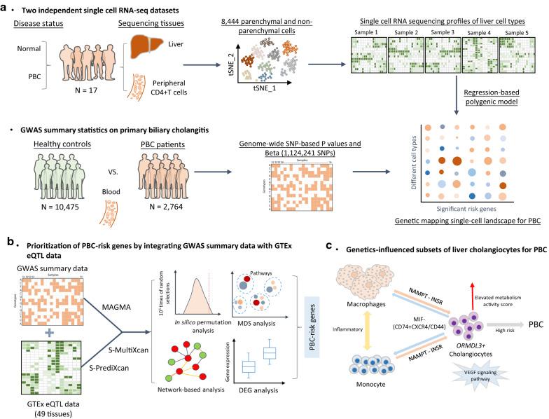 https://cdn.ncbi.nlm.nih.gov/pmc/blobs/2b9a/8647381/9d5f1ecdd9a0/12951_2021_1154_Fig1_HTML.jpg