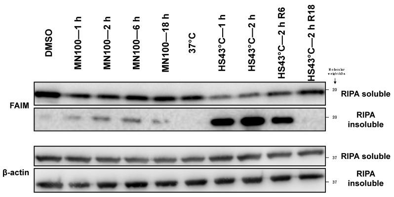 https://cdn.ncbi.nlm.nih.gov/pmc/blobs/2b9a/9570119/cfe646654d44/ijms-23-11841-g002.jpg