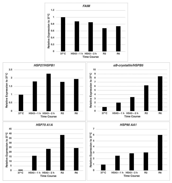 https://cdn.ncbi.nlm.nih.gov/pmc/blobs/2b9a/9570119/e14b2c20cf45/ijms-23-11841-g001.jpg